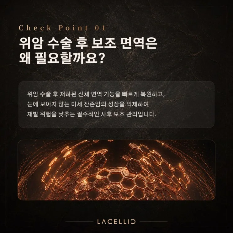 EvoNK 보조 면역 | 위암, 수술 이후의 회복을 함께 바라보는 접근