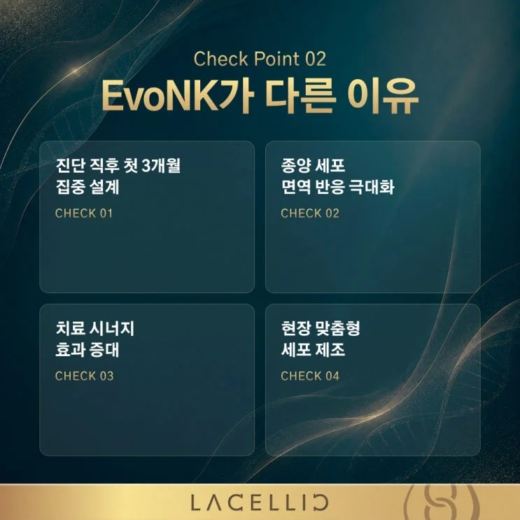 NK세포 기반 EvoNK 프로그램 | 간암 진단 직후를 위한 새로운 접근