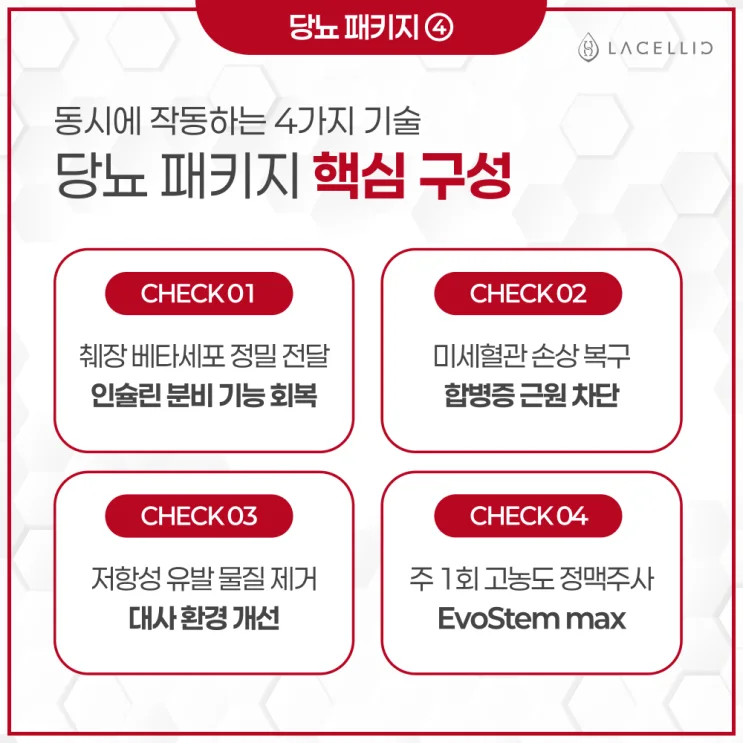 당뇨 메디컬 투어, EvoStem 기반 프로그램 안내 (에보스탬)