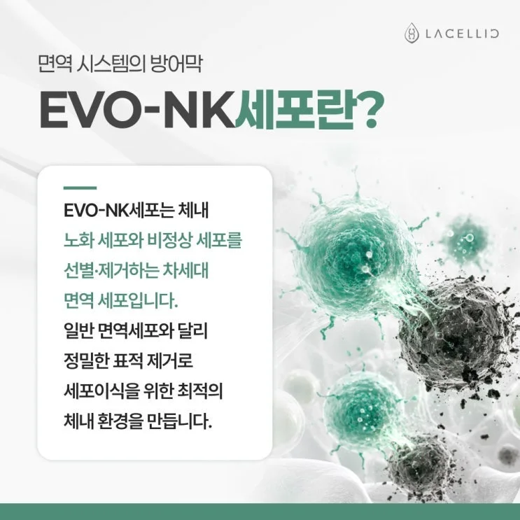 세포 이식과 Evo-NK세포, 라셀릭 세포치료 플랫폼 소개