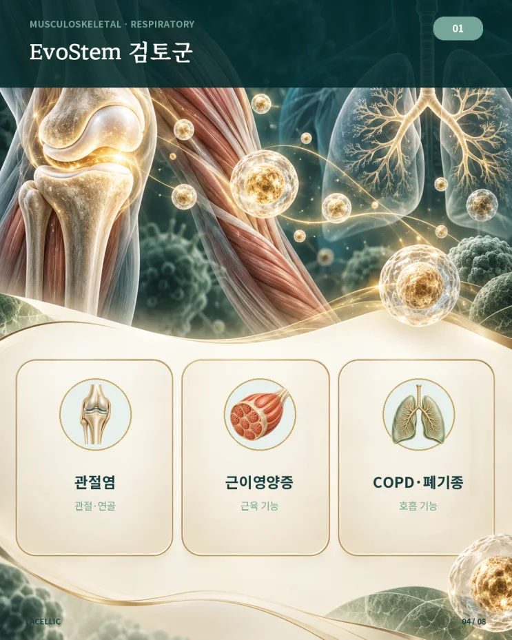 의료관광을 위한 Evo Series 적용 검토 가이드 | 1편