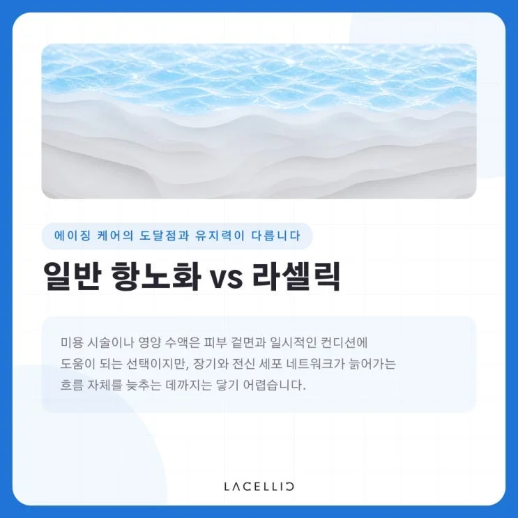 세포 수준의 저속노화, 라셀릭 롱제비티 프로토콜은 어떻게 구성될까요?