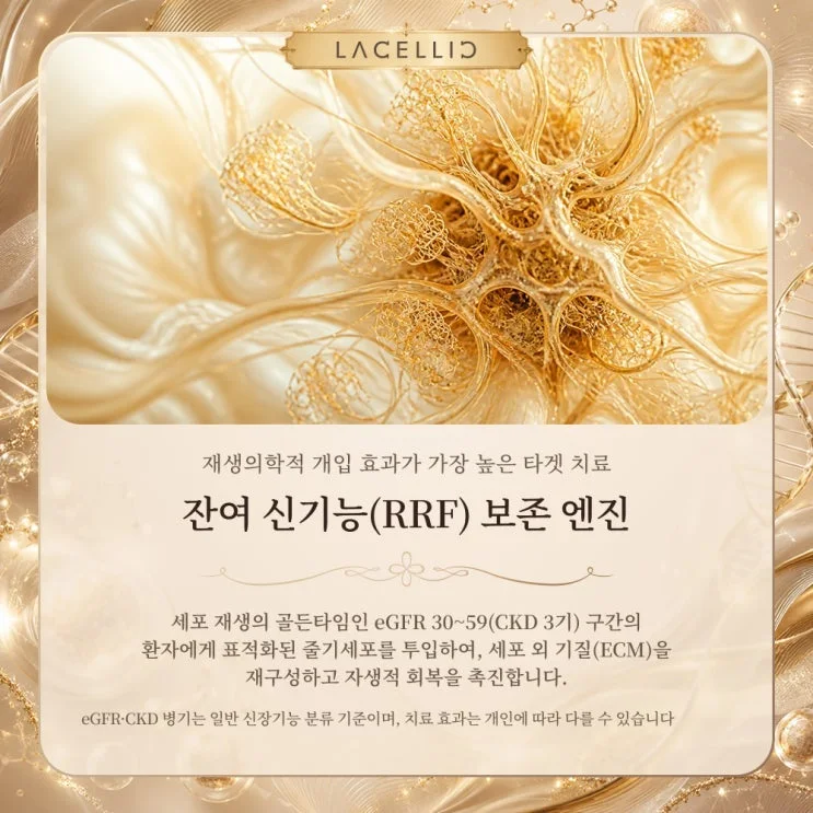 만성신부전과 세포 재생, EvoStem은 어떤 프로그램일까요?