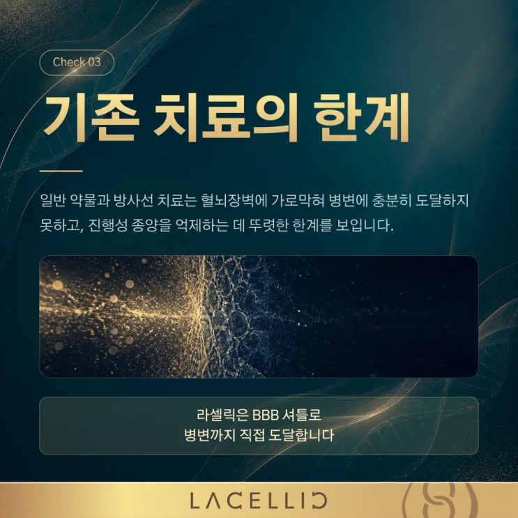 뇌 전이암, 혈뇌장벽을 바라보는 새로운 접근 | EvoNK 프로그램
