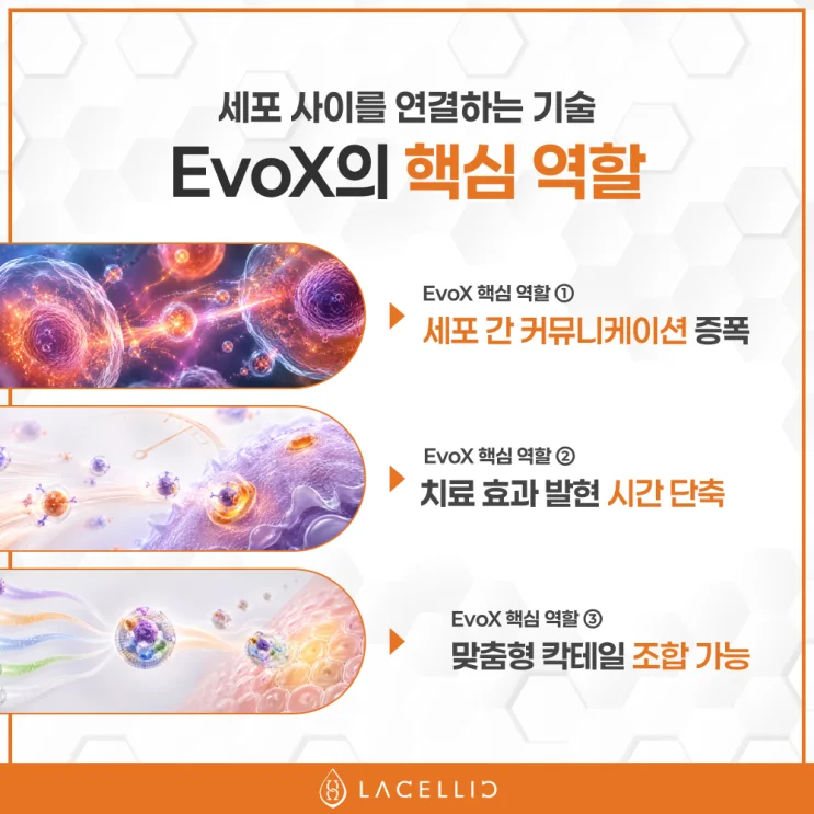 심장질환 의료관광, 새로운 치료 패러다임 Evo Series를 소개합니다