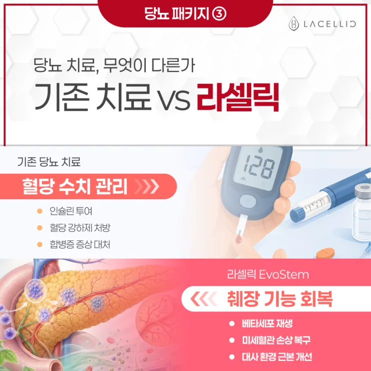 당뇨 메디컬 투어, EvoStem 기반 프로그램 안내 (에보스탬)