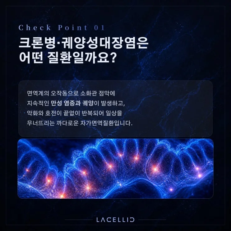 EvoNK·EvoStem 하이브리드 프로그램 | 크론병·궤양성대장염, 반복되는 장 염증을 바라보는 새로운 접근