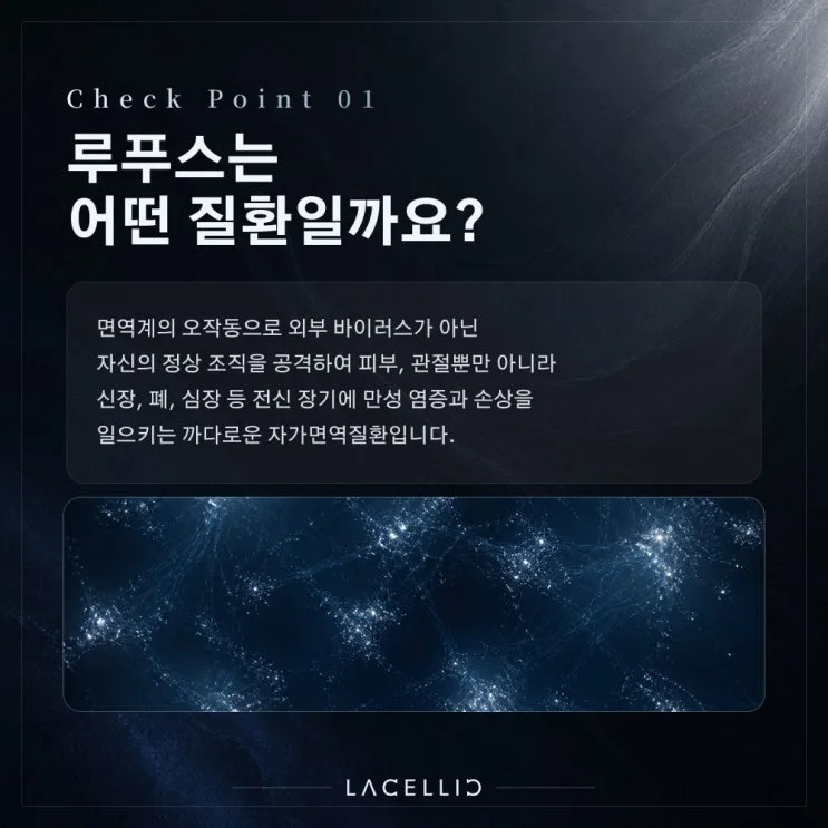 루푸스 면역·재생치료, 하이브리드 프로그램은 무엇이 다를까요?