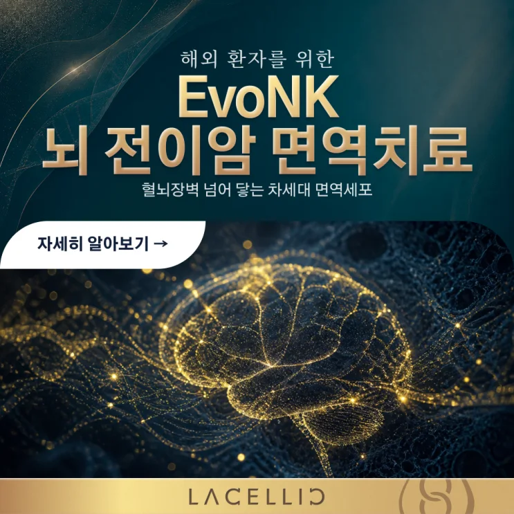 뇌 전이암, 혈뇌장벽을 바라보는 새로운 접근 | EvoNK 프로그램