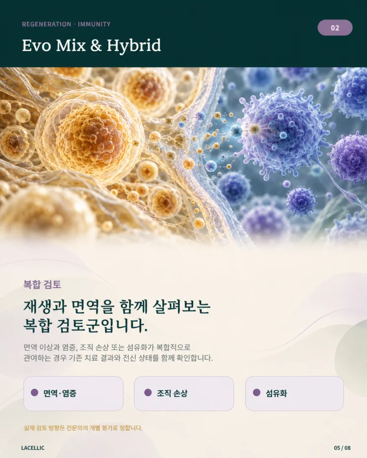 의료관광을 위한 Evo Series 플랫폼 비교 | 2편