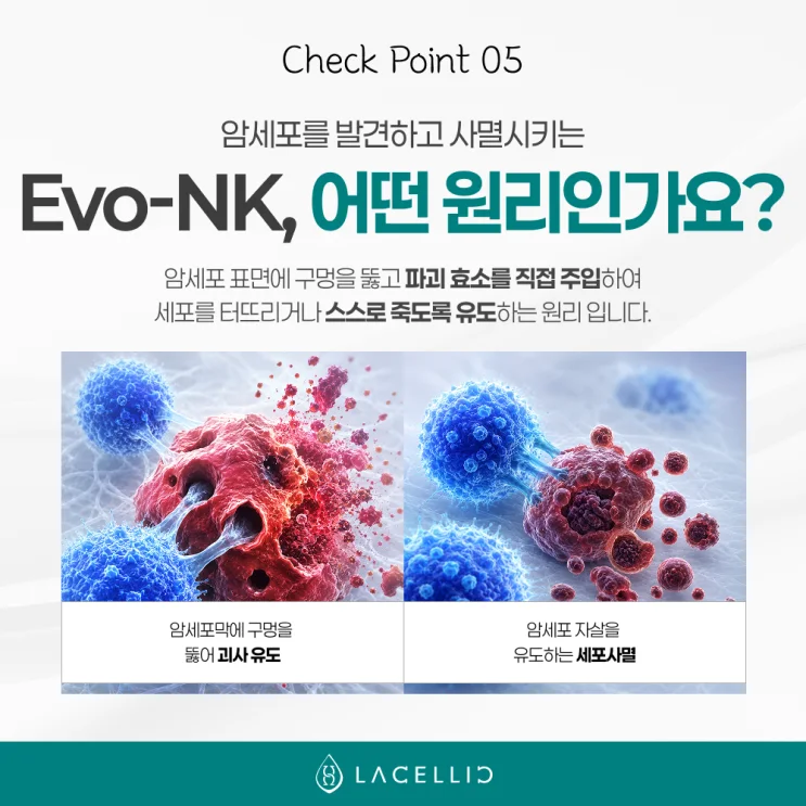 한국 의료관광으로 만나는 라셀릭 Evo-NK세포, 기존 NK세포와 무엇이다를까요?