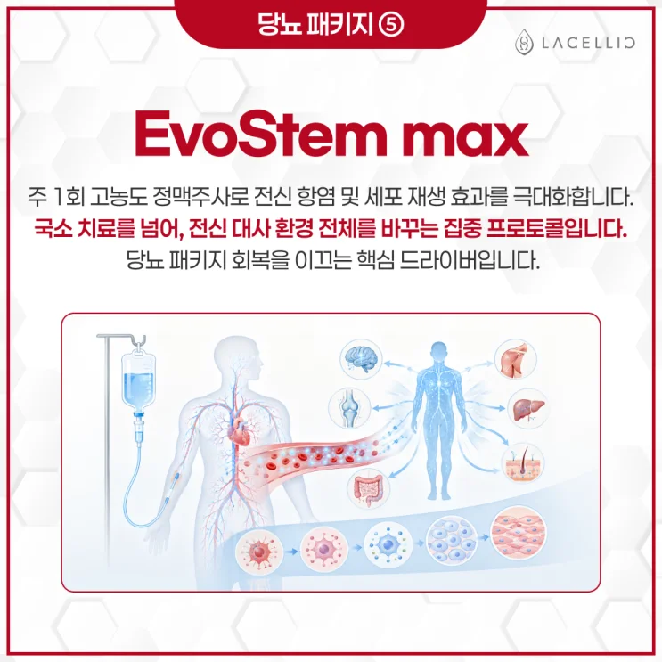당뇨 메디컬 투어, EvoStem 기반 프로그램 안내 (에보스탬)