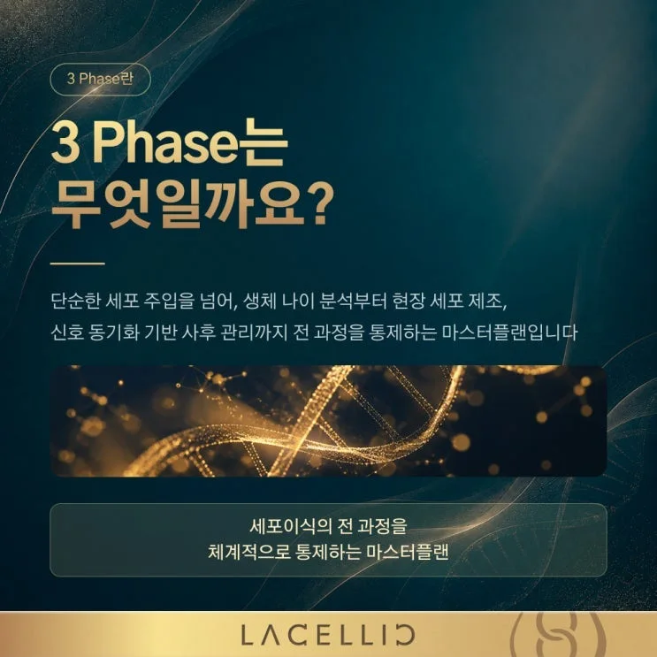 정밀 진단 3 Phase, 첨단 세포이식 프로젝트는 어떤 방식으로 진행될까요?