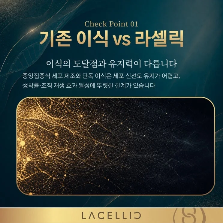 정밀 진단 3 Phase, 첨단 세포이식 프로젝트는 어떤 방식으로 진행될까요?