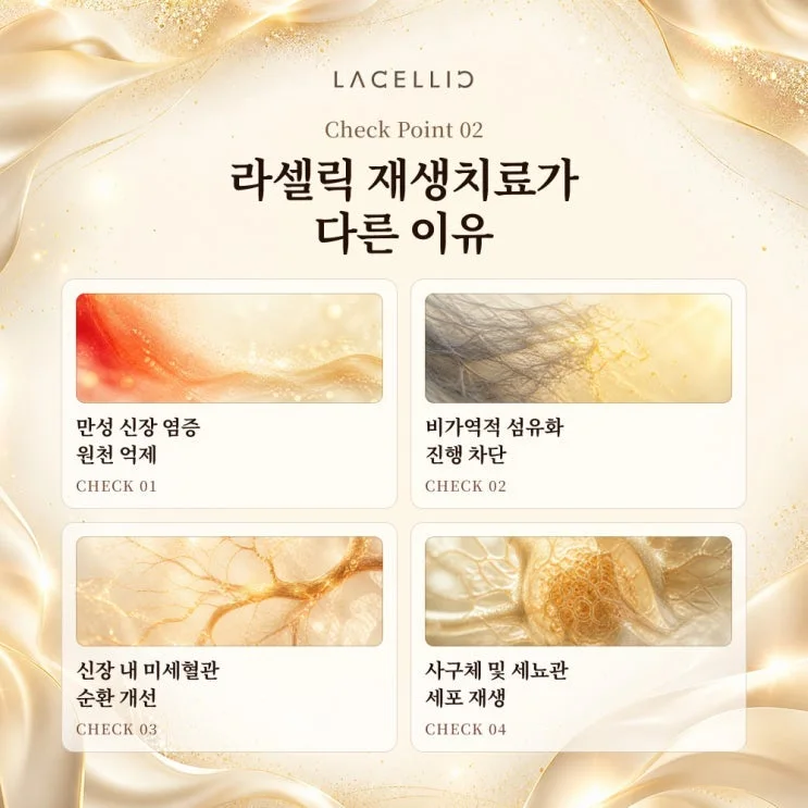 만성신부전과 세포 재생, EvoStem은 어떤 프로그램일까요?