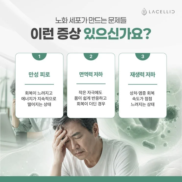 세포 이식과 Evo-NK세포, 라셀릭 세포치료 플랫폼 소개