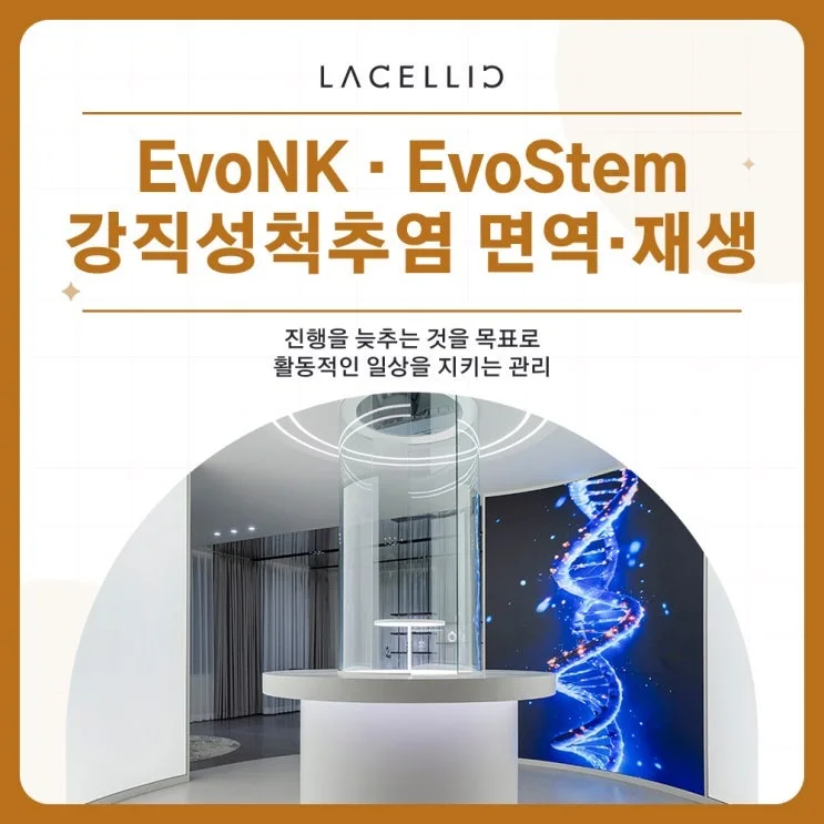 강직성척추염과 세포치료, EvoNK·EvoStem 하이브리드는 어떤 프로그램일까요?