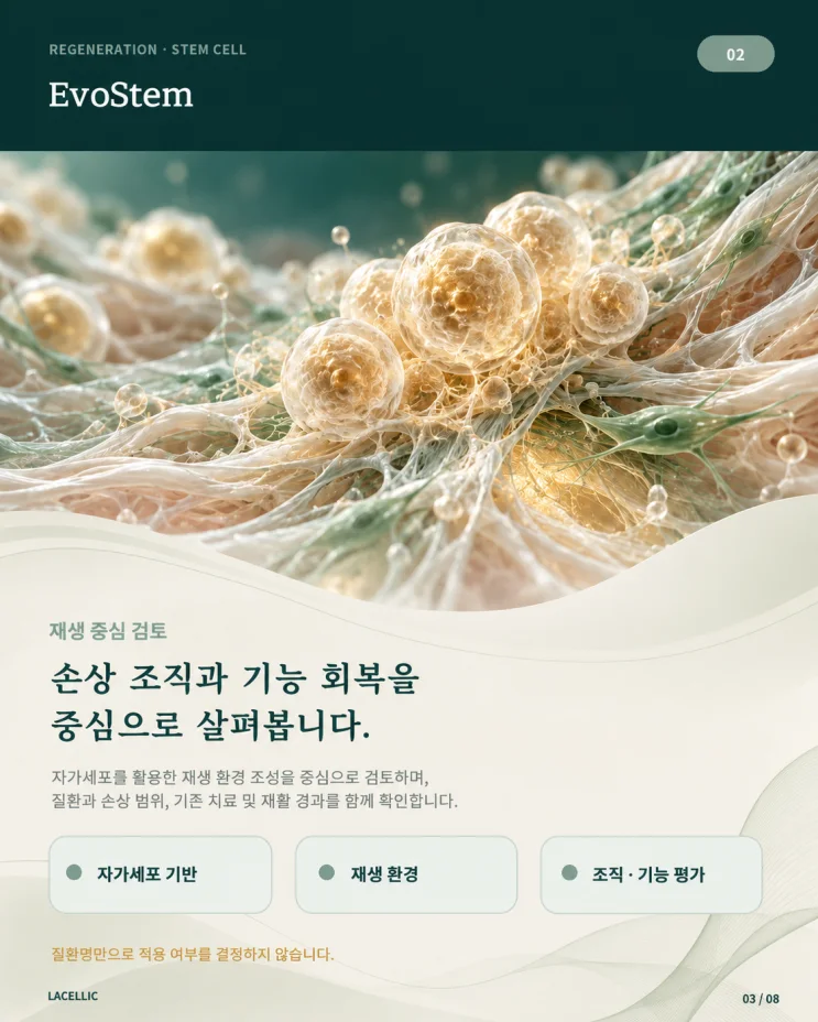 의료관광을 위한 Evo Series 플랫폼 비교 | 2편