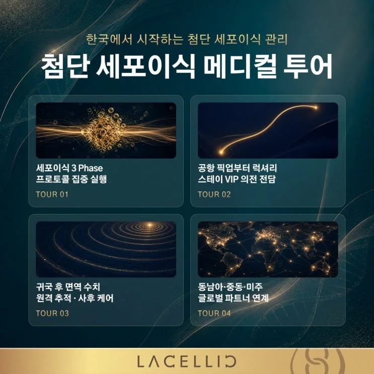 정밀 진단 3 Phase, 첨단 세포이식 프로젝트는 어떤 방식으로 진행될까요?