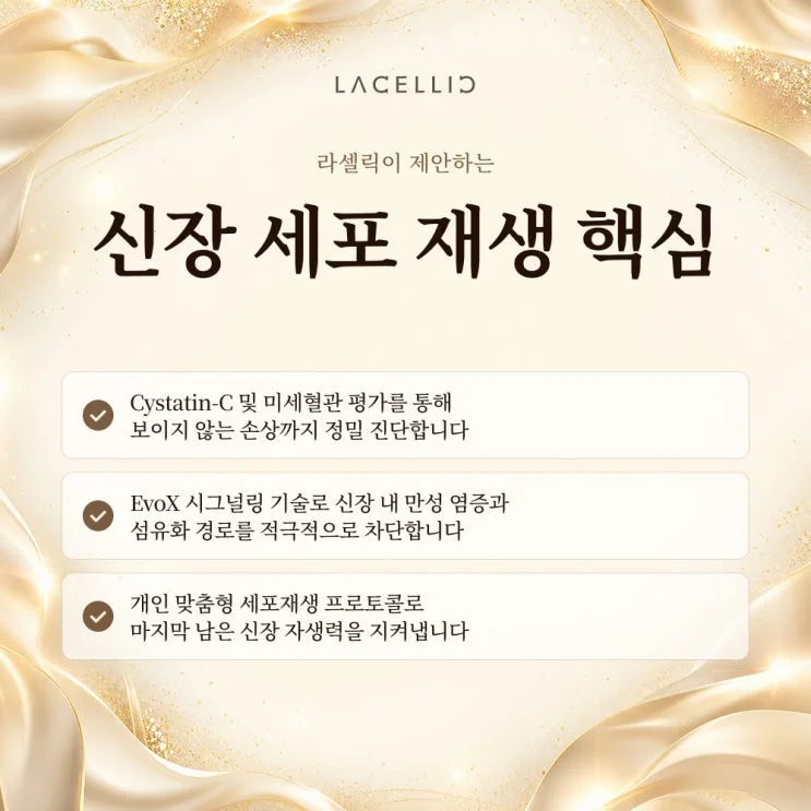 만성신부전과 세포 재생, EvoStem은 어떤 프로그램일까요?