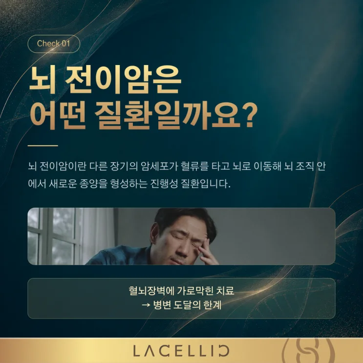 뇌 전이암, 혈뇌장벽을 바라보는 새로운 접근 | EvoNK 프로그램