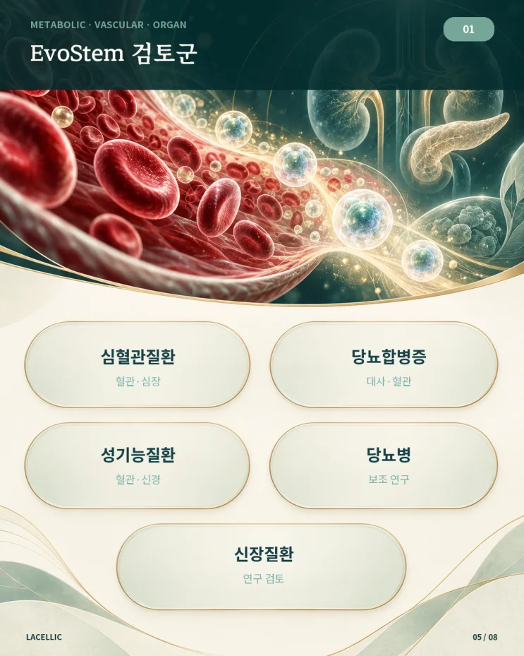 의료관광을 위한 Evo Series 적용 검토 가이드 | 1편