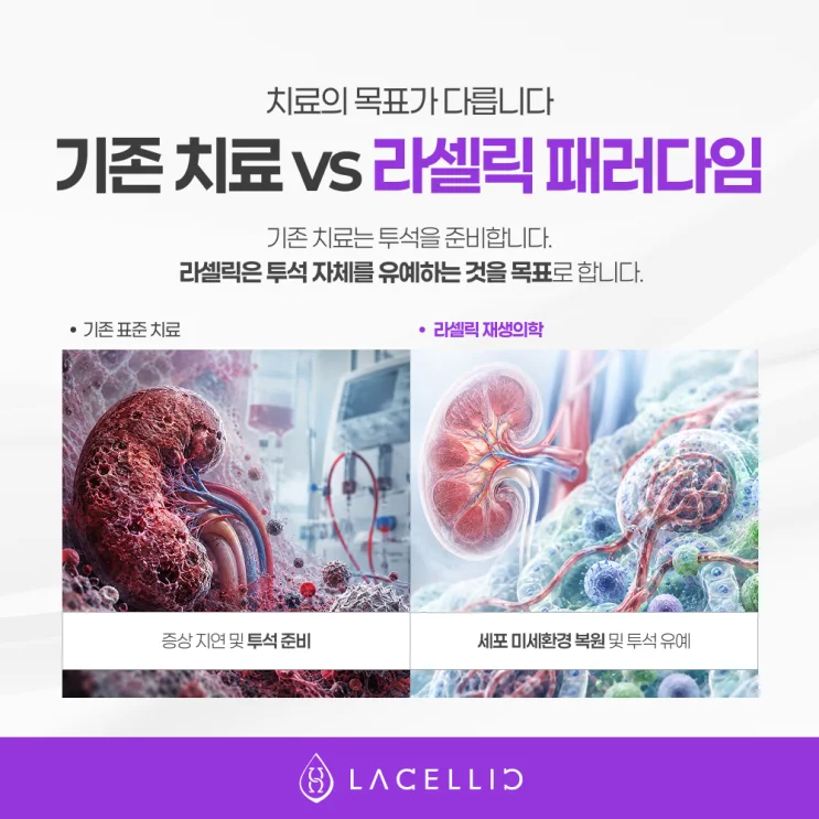만성콩팥병(CKD), 한국 신장 의료관광이 주목받는 이유
