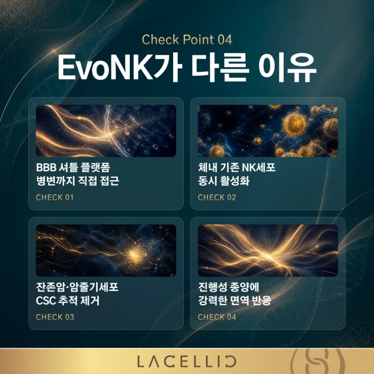 뇌 전이암, 혈뇌장벽을 바라보는 새로운 접근 | EvoNK 프로그램