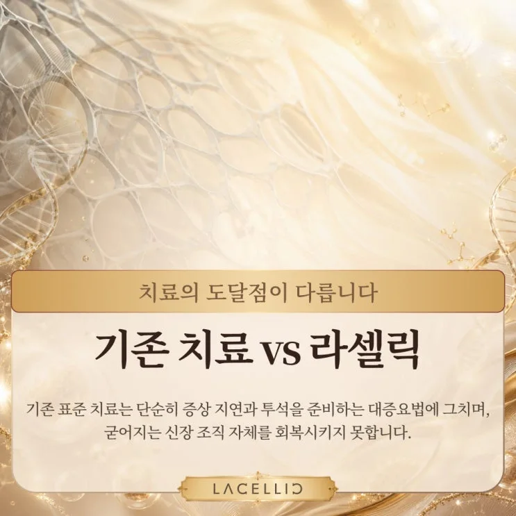 만성신부전과 세포 재생, EvoStem은 어떤 프로그램일까요?