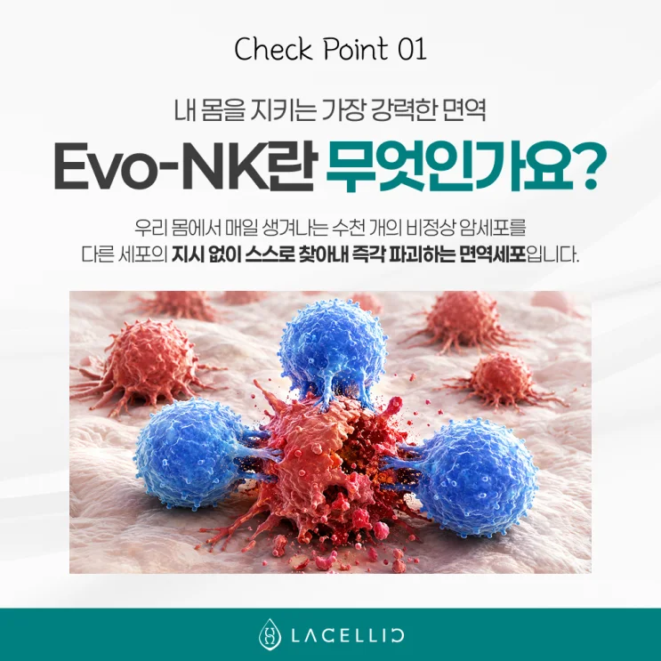 한국 의료관광으로 만나는 라셀릭 Evo-NK세포, 기존 NK세포와 무엇이다를까요?