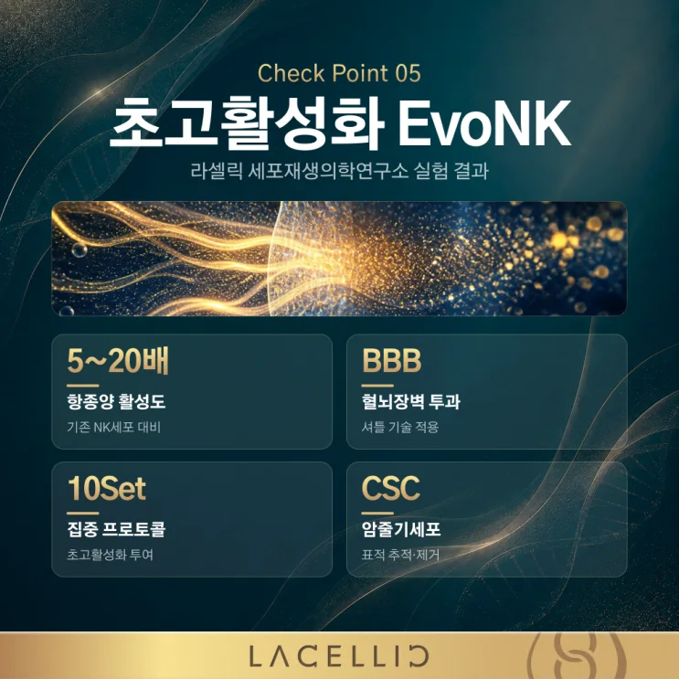 뇌 전이암, 혈뇌장벽을 바라보는 새로운 접근 | EvoNK 프로그램
