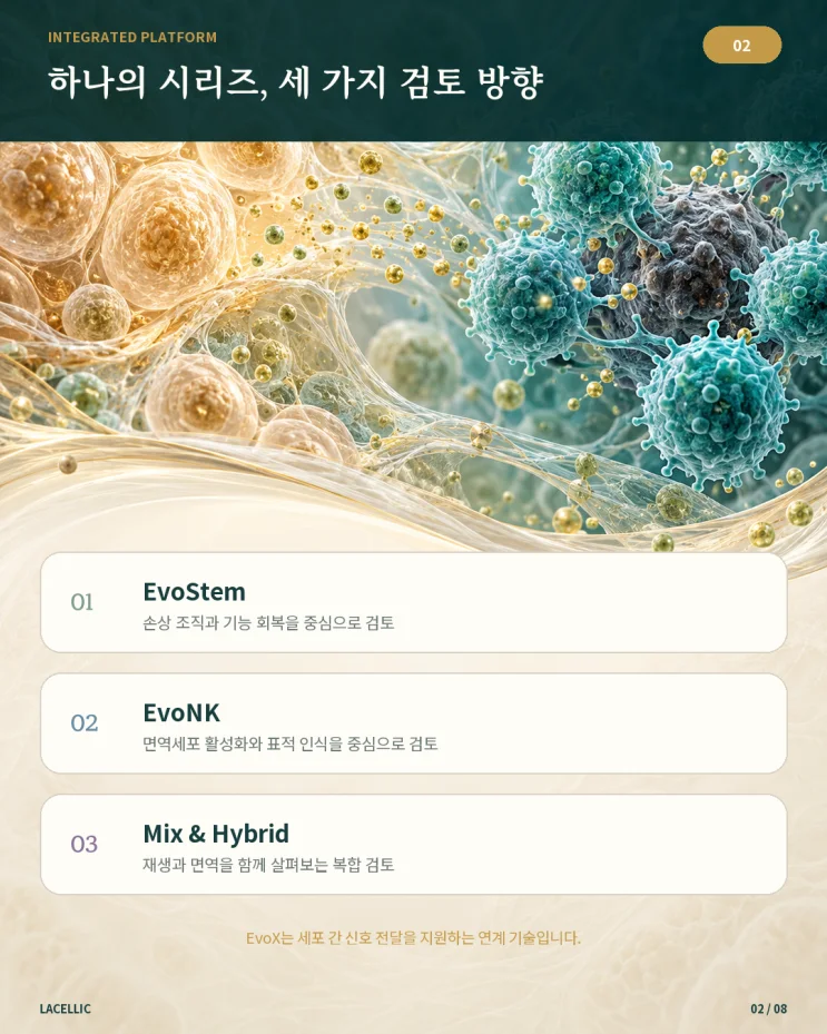 의료관광을 위한 Evo Series 플랫폼 비교 | 2편