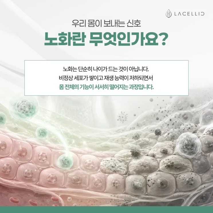세포 이식과 Evo-NK세포, 라셀릭 세포치료 플랫폼 소개