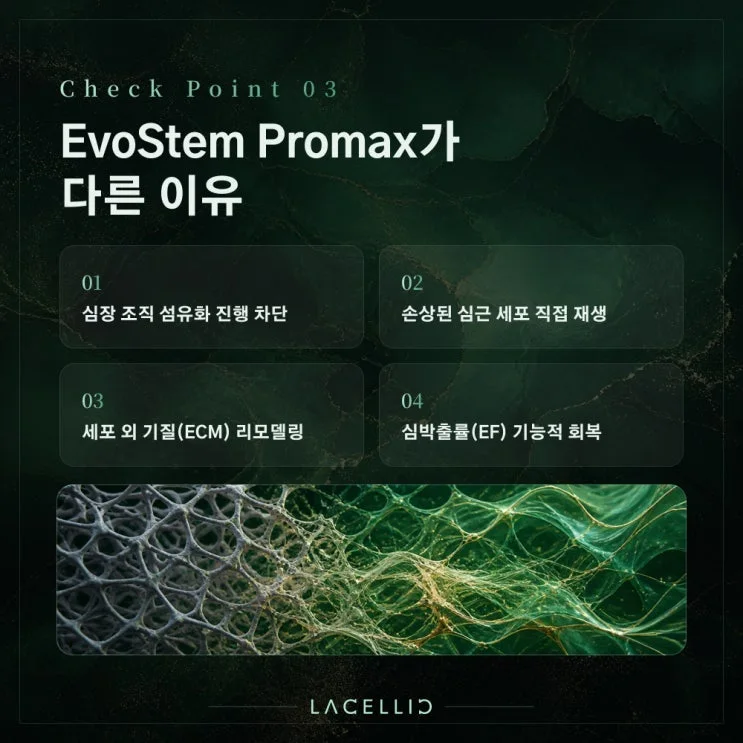 심부전과 세포 재생 치료, EvoStem Promax는 어떤 프로그램일까요?
