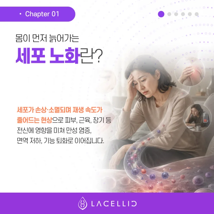 안티에이징과 의료관광, 건강한 노화를 위한 새로운 선택