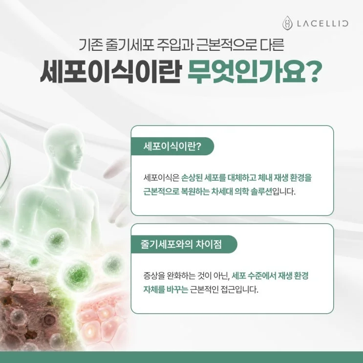 세포 이식과 Evo-NK세포, 라셀릭 세포치료 플랫폼 소개