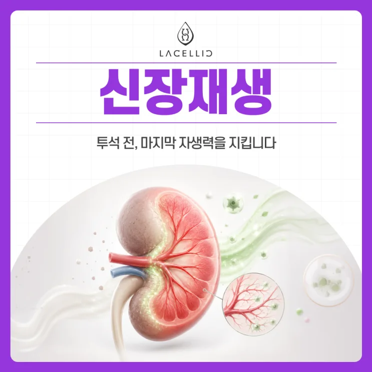 만성콩팥병(CKD), 한국 신장 의료관광이 주목받는 이유
