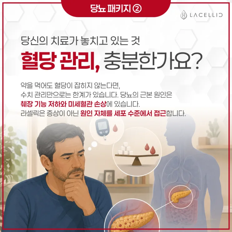 당뇨 메디컬 투어, EvoStem 기반 프로그램 안내 (에보스탬)