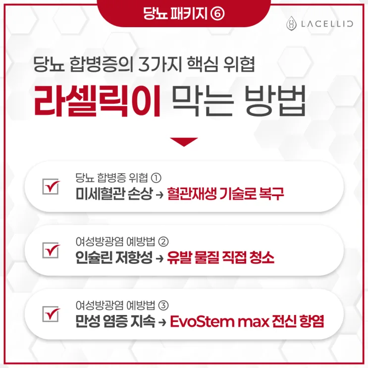 당뇨 메디컬 투어, EvoStem 기반 프로그램 안내 (에보스탬)