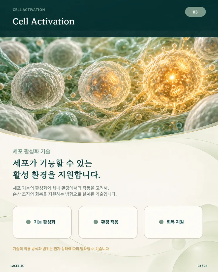의료관광을 위한 Evo Series 이야기 핵심기술 | 3편