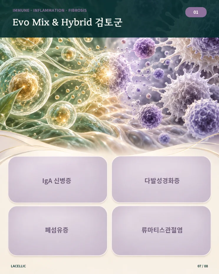 의료관광을 위한 Evo Series 적용 검토 가이드 | 1편