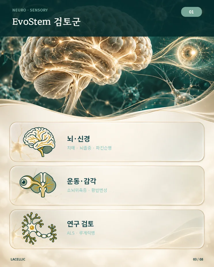 의료관광을 위한 Evo Series 적용 검토 가이드 | 1편