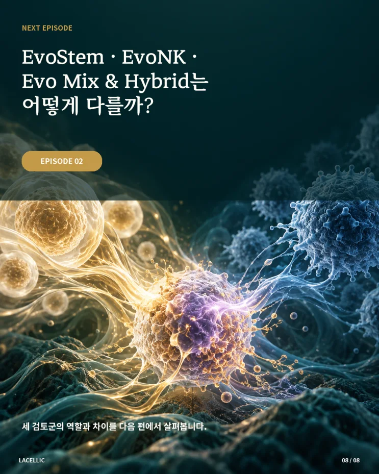 의료관광을 위한 Evo Series 적용 검토 가이드 | 1편
