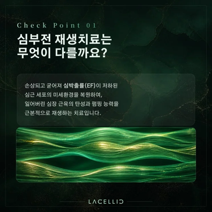 심부전과 세포 재생 치료, EvoStem Promax는 어떤 프로그램일까요?