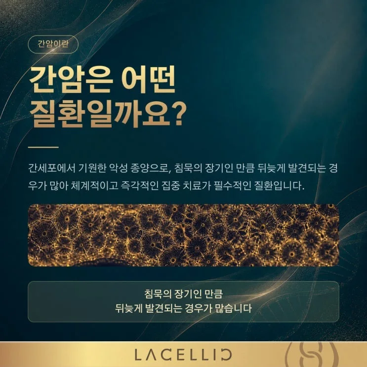 NK세포 기반 EvoNK 프로그램 | 간암 진단 직후를 위한 새로운 접근