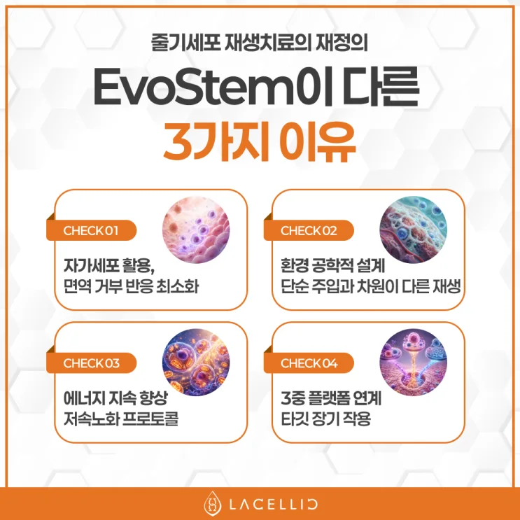 심장질환 의료관광, 새로운 치료 패러다임 Evo Series를 소개합니다