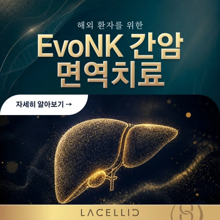 NK세포 기반 EvoNK 프로그램 | 간암 진단 직후를 위한 새로운 접근