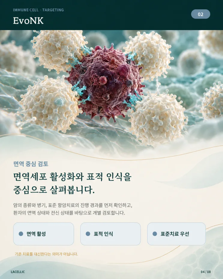 의료관광을 위한 Evo Series 플랫폼 비교 | 2편