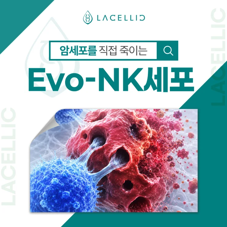 한국 의료관광으로 만나는 라셀릭 Evo-NK세포, 기존 NK세포와 무엇이다를까요?