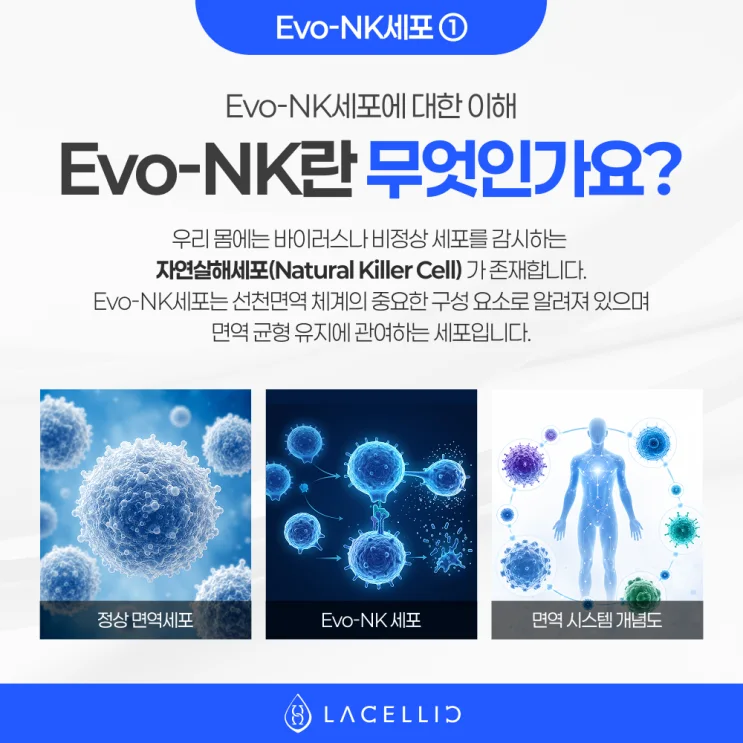 일본 환자들이 한국 의료관광에 관심을 갖는 이유